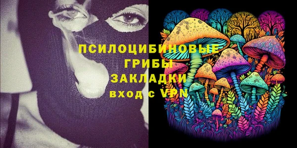 ГАЛЛЮЦИНОГЕННЫЕ ГРИБЫ Баксан