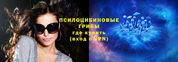 ГАЛЛЮЦИНОГЕННЫЕ ГРИБЫ Баксан