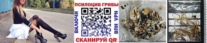 Галлюциногенные грибы GOLDEN TEACHER Заозёрск