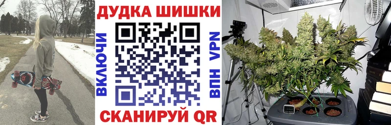 Канабис сатива Заозёрск